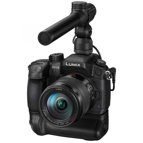 DMW-MS2_on_camera