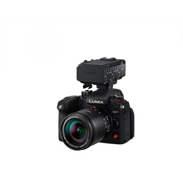 DMW-XLR2_1