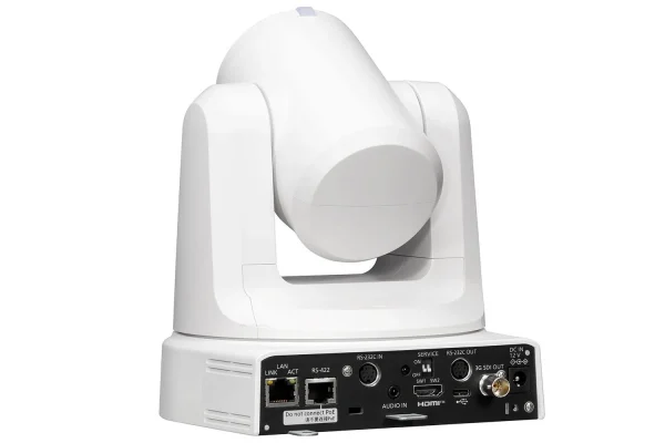 white2_4